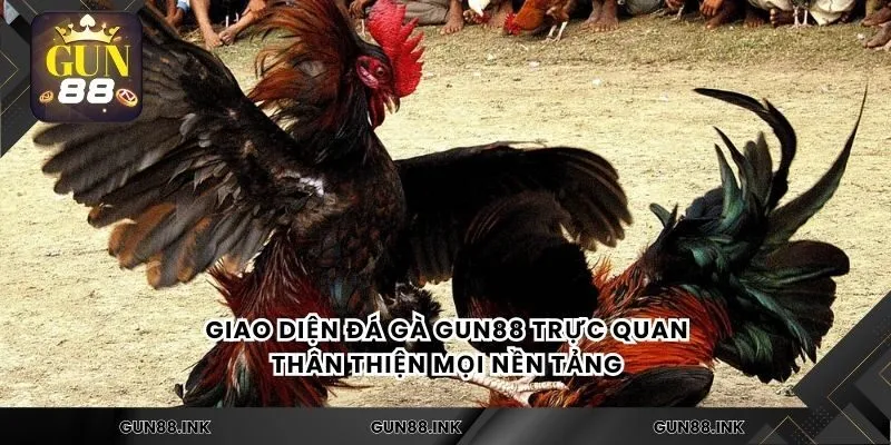 Giao diện đá gà gun88 trực quan, thân thiện mọi nền tảng