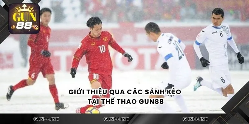 Giới thiệu qua các sảnh kèo tại thể thao gun88